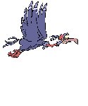 FLYING.GIF