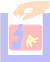 PD123FCW.PCT
