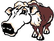 COW.GIF