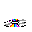 CDS1.GIF