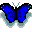 BUTFLYER.GIF