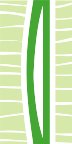010911_0972_0559_vuvv.wmf