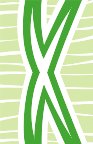 010911_0972_0574_vuvv.wmf