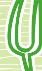 010911_0972_0575_vuvv.wmf