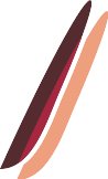 010911_0972_0694_vuvv.wmf