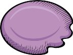 010409_0713_1352_vuvv.wmf