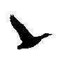 PD130WBF.WMF