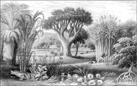 LANDS147.TIF