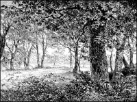 LANDS093.TIF