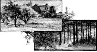 LANDS091.TIF