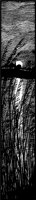 LANDS089.TIF