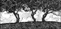 LANDS065.TIF
