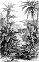 LANDS051.TIF
