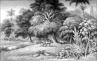 LANDS048.TIF