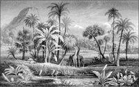 LANDS047.TIF
