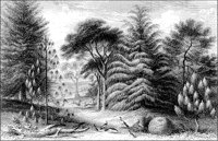 LANDS039.TIF