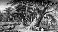 LANDS023.TIF