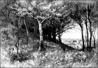 LANDS020.TIF