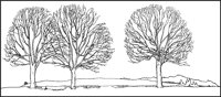 LANDS014.TIF