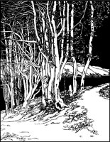 LANDS007.TIF