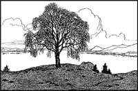 LANDS006.TIF