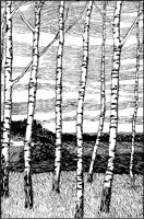LANDS002.TIF