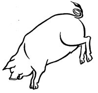 PIG.TIF