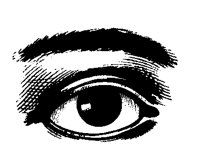 LADYSEYE.TIF