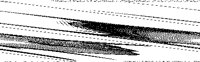 FISH8.TIF