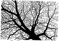 TREE01.TIF