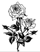 ROSES.TIF