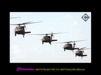 C_M_0118.GIF
