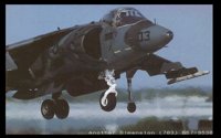 HARRIER.GIF