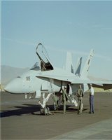 HORNET.GIF