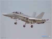 HORNET1.GIF