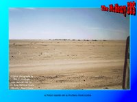 SAUDI07.GIF