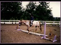 JHORSE1.GIF