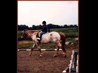 JHORSE2.GIF