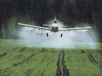 AGPLANE.GIF