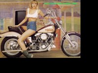HARLEY1.GIF