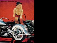 HARLEY8.GIF