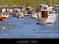 HBORVIEW.GIF
