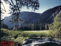 YOSEMITE.GIF