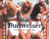 BUDGIR.GIF