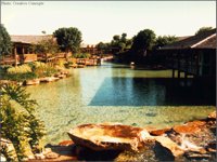 CC035.GIF