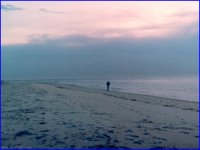CC042.GIF