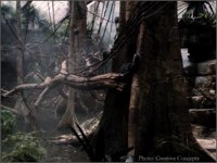 CC067.GIF
