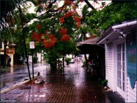 POW021.GIF