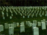 POW056.GIF