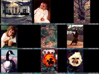 CC0006.GIF